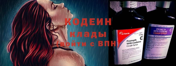стаф Арсеньев