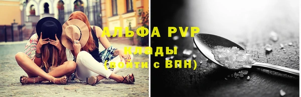 стаф Арсеньев
