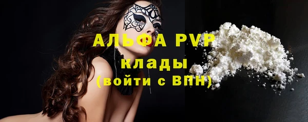 стаф Арсеньев