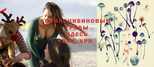 стаф Арсеньев