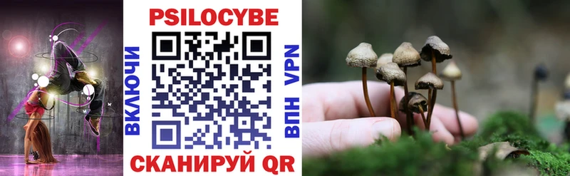 Псилоцибиновые грибы Psilocybine cubensis  Лянтор 