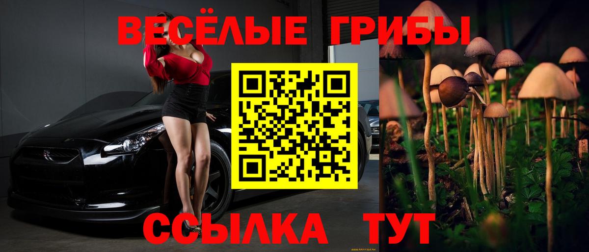 Лянтор  цены наркотик  Псилоцибиновые грибы Psilocybe  Вход с VPN  Галлюциногенные грибы ЛСД 