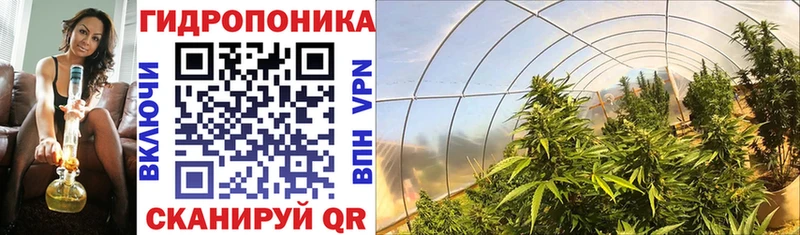 Каннабис Bruce Banner  Лянтор 